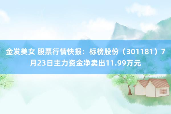 金发美女 股票行情快报：标榜股份（301181）7月23日主力资金净卖出11.99万元