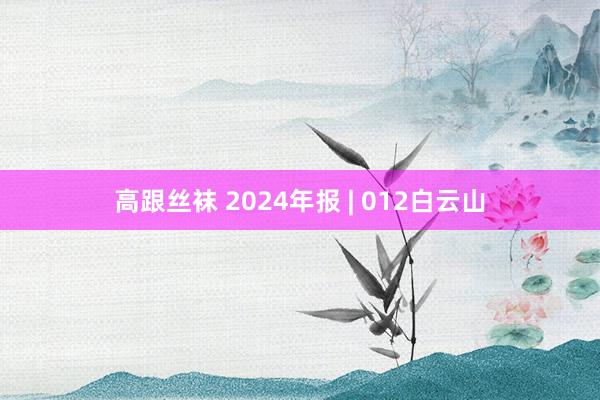 高跟丝袜 2024年报 | 012白云山